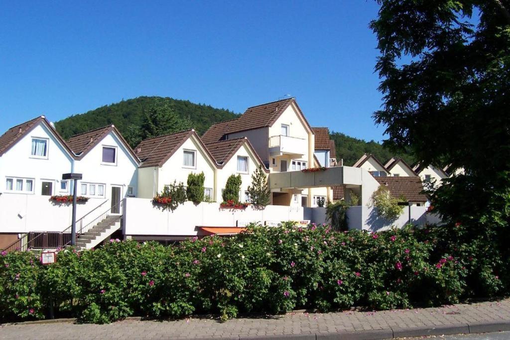 Seeblick Geniessen In Schoener Fewo Am Edersee Scheid  Bagian luar foto